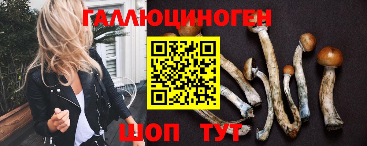 Псилоцибиновые грибы MAGIC MUSHROOMS Ступино